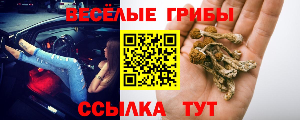 Псилоцибиновые грибы прущие грибы Краснодар
